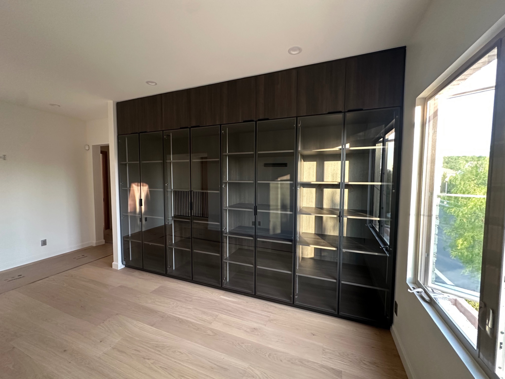 Custom dark glass-front closet and storage cabinetry